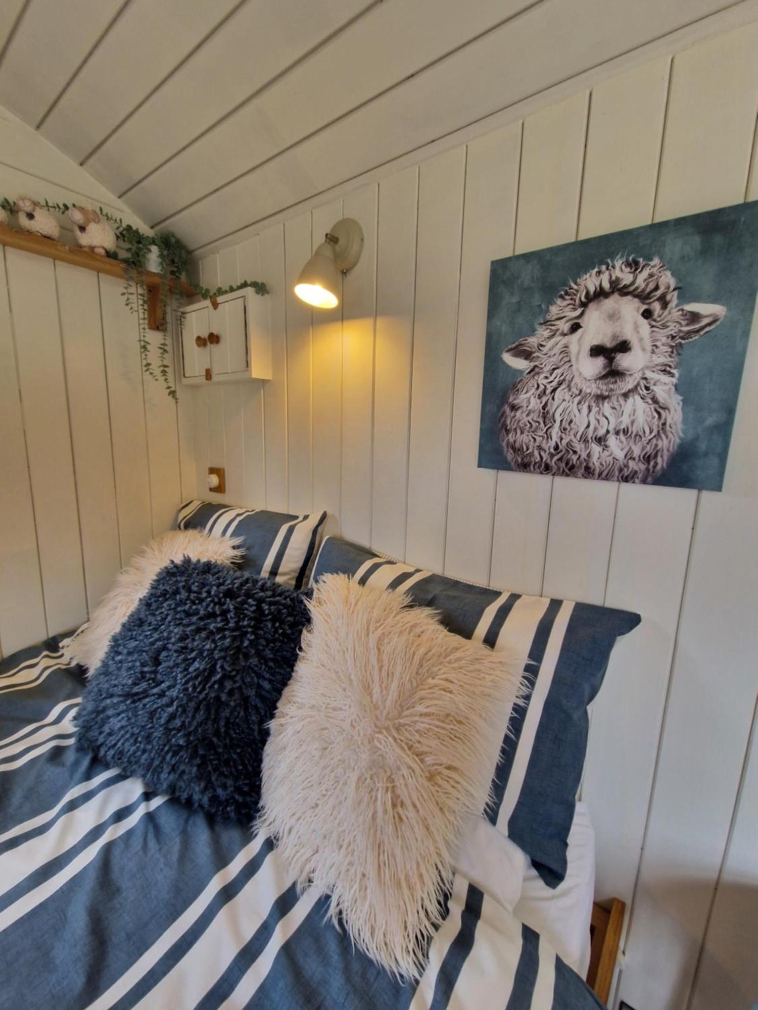 Dolly At Lowlands Ringwood Bagian luar foto